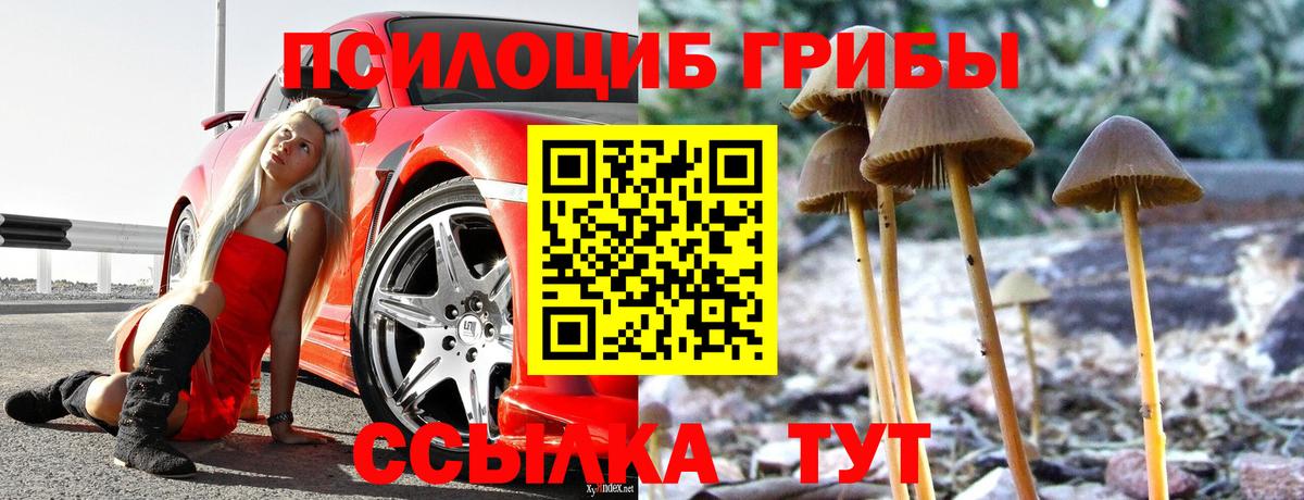 продажа наркотиков  Галлюциногенные грибы прущие грибы  Псилоцибиновые грибы мухоморы  Вход с VPN  Березники 