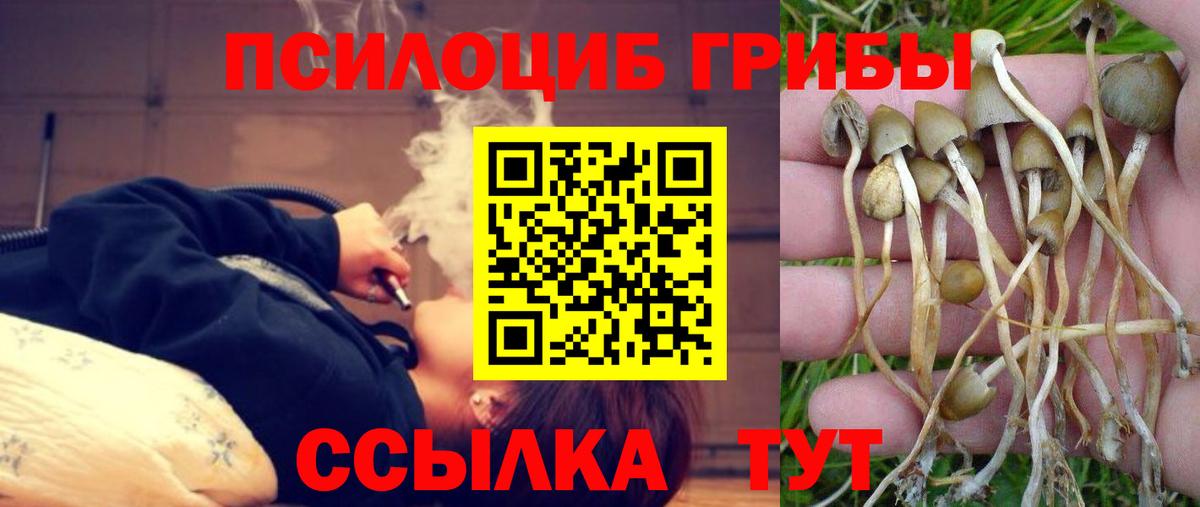 Галлюциногенные грибы Magic Shrooms Березники